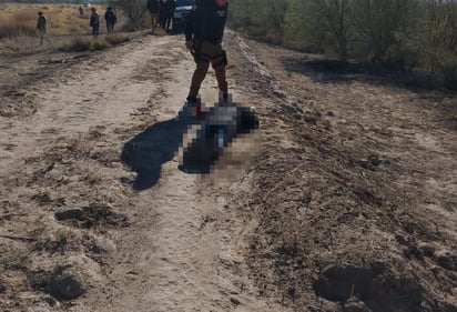 El cuerpo fue localizado a la orilla del lecho seco del Río Nazas, en el ejido San Francisco, de San Pedro. (EL SIGLO DE TORREÓN)