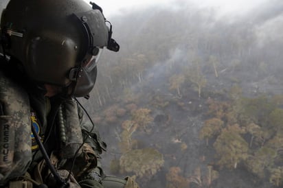 El Servicio Rural de los Bomberos de Nueva Gales del Sur, el estado más afectado por los incendios, destacó el 'alivio psicológico y emocional' que la mejora de la climatología ha supuesto para su personal desplegado sobre el terreno, donde siguen activos unos 130 focos.
(EFE)