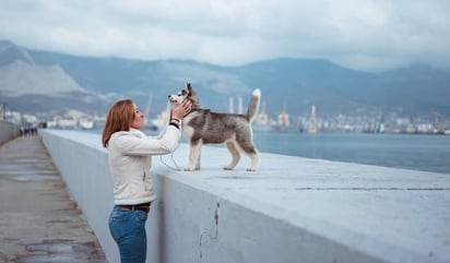 Ya que va comenzando el año, es el mejor momento para empezar una nueva rutina que les de a tu perro y a ti paz y serenidad. (ARCHIVO) 