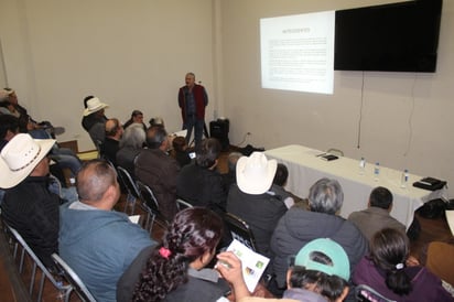 En el curso se manejó todo lo relacionado con el control biológico de la plaga del nogal, entre otros temas. (EL SIGLO DE TORREÓN / Diana González)