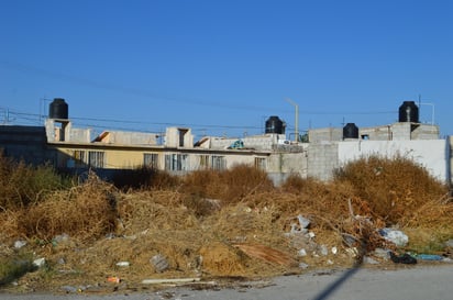 Alrededor de 400 casas abandonadas hay en Torreón, de acuerdo al registro de la Canadevi Laguna. (ARCHIVO)