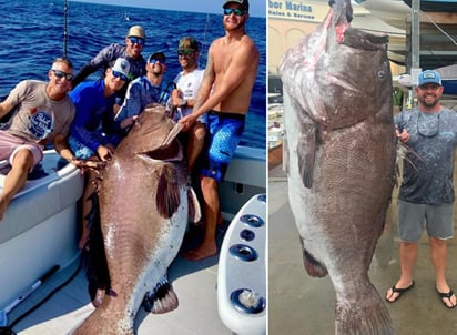 Jason Boyll pescó un mero de Varsovia en el Golfo de México. (INTERNET)