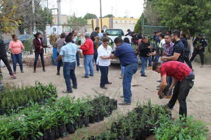 Se recibieron 5 mil Mezquites, mil Huizaches, 2 mil 500 Fresnos, mil Truenos y 500 Palmas abanico, mismas que servirán para la campaña de reforestación en el municipio de San Pedro.
(DIANA GONZÁLEZ)