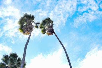 Señaló que se espera un sistema frontal más que también modificaría las temperaturas en la región, pero el cuál se registraría entre lunes y martes de la próxima semana, pues antes habrá dos que no registrarán variación en el clima, en términos del frío.
(ARCHIVO)