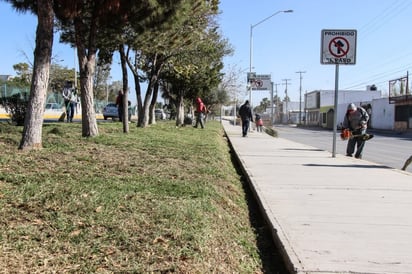 Diversas acciones de mantenimiento se realizaron en varias colonias de la ciudad, como postes con alumbrado led y de limpieza. (VIRGINIA HERNÁNDEZ)