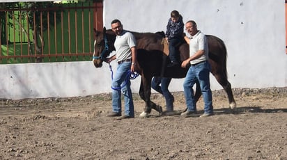 El Centro de Atención Múltiple (CAM) Harold R. Pape, ubicado en el Fraccionamiento Azteca de Monclova, cuenta desde este fin de semana con un área para este tipo de tratamientos para infantes. (EL SIGLO COAHUILA)