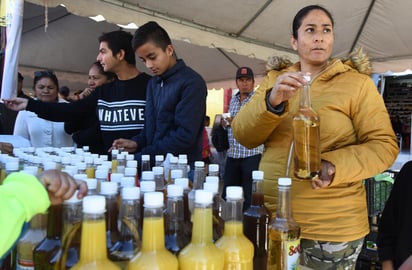 El sotol es la bebida típica que se produce artesanalmente, el cual surge de un agave silvestre como es un matorral, que debe subsistir bajo calor desértico.