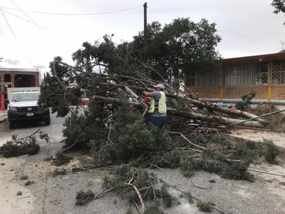 Los elementos de Seguridad Pública y Protección Civil realizaron recorridos de prevención por diferentes zonas de la ciudad al pendiente de los apoyos a la ciudadanía. (EL SIGLO COAHUILA)