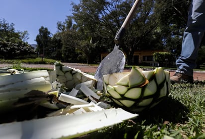 El acuerdo busca proteger las denominaciones de bebidas como el tequila, el soto y la charanda. (ARCHIVO) 