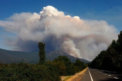 Este siniestro es el último de más de 70 incendios forestales registrados en Chile. (ARCHIVO) 