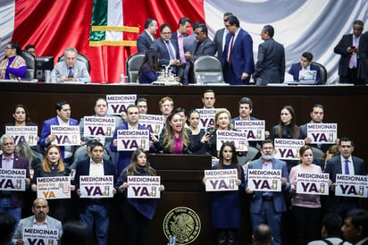 La diputada Frida Alejandra Esparza, del Partido de la Revolución Democrática (PRD), aseguró que este día es para sensibilizar y concientizar sobre las dificultades que enfrentan los niños que padecen esta enfermedad. (EL UNIVERSAL)
