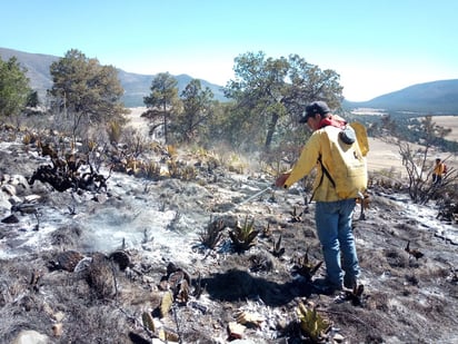 En enero y febrero se han registrado incendios en terrenos aledaños a las carreteras que se encuentran entre los municipios de Nadadores, Sacramento y La Madrid.