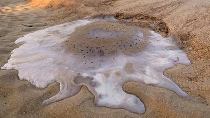 Un extraño fenómeno causado por el calor. (INTERNET)