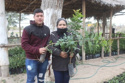 Arrancó la donación de arbolitos de diversas especies. (EL SIGLO DE TORREÓN)