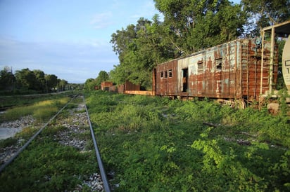 El Tren Maya, la obra estrella de la administración del presidente Andrés Manuel López Obrador, conllevará afectaciones negativas a 10 Áreas Naturales Protegidas (ANP) y a sus servicios ambientales, como la recarga de los acuíferos y su capacidad para capturar carbono. (EFE)