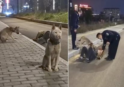 La escena fue filmada por un testigo, que llamó a la policía. (INTERNET)