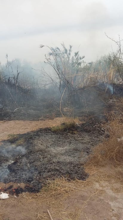 Con la llegada del agua rodada a los canales de riego de nuestro municipio, propietarios de tierras de siembra inician la preparación de sus predios para realizar el riego, sin embargo la mecánica que están utilizando es incendiando los pastizales y maleza, lo cual provoca conflictos. (DIANA GONZÁLEZ)