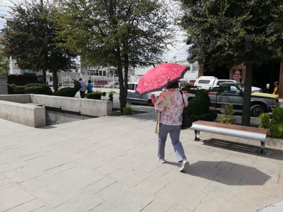 En la Comarca Lagunera se pronostican temperaturas máximas de entre los 37 y 40 grados centígrados por la ola de calor. (EL SIGLO DE TORREÓN)