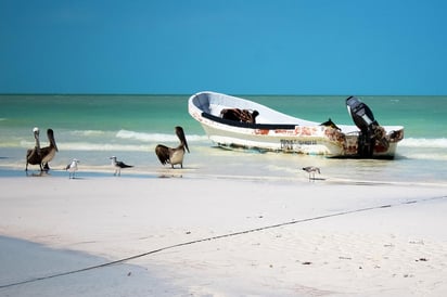 Durante la cuarentena y las medidas de prevención contra el coronavirus SARS-CoV-2, causante de la enfermedad COVID-19, algunos estados del país han incluido a las playas entre los lugares públicos que suspendieron actividades. (ARCHIVO)