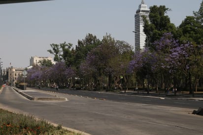 La Ciudad de México, que concentra los casos, se convirtió en una ciudad fantasma.