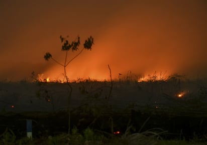 Un centenar de personas participa en las labores de extinción en la zona de exclusión de 30 kilómetros. (CORTESÍA) 