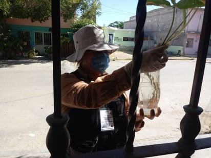 Las brigadas de abatización y fumigación contra los vectores del dengue continúan en la ciudad. (CORTESÍA)