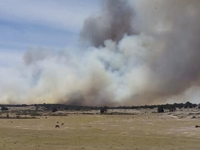 Manolo Jiménez, alcalde de Saltillo, explicó que uno de los siniestros activos se ubica en los límites de Arteaga, Coahuila y Galeana, Nuevo León y el otro en el ejido Las Hormigas en Saltillo, siendo este último el más fuerte al haber consumido hasta este lunes cerca de 400 hectáreas.
(TWITTER)