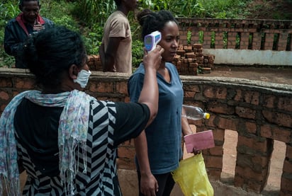 La Organización Mundial de la Salud (OMS) no rechazó el uso de la Artemisia, una planta medicinal que Madagascar está empleando y exportando como tratamiento de prevención y cura de la COVID-19. (ARCHIVO) 