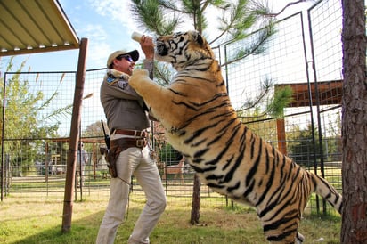 Trama. Relata la rivalidad entre el comerciante de felinos Joe Exotic y la propietaria de una reserva Carole Baskin. (EFE)