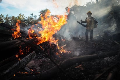 El papel de los militares será de apoyo logístico a organismos oficiales de defensa del medio ambiente. (ARCHIVO) 