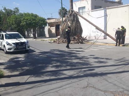 El poste quedó derribado al ser jalado por la parte alta del camión que provocó el percance. (EL SIGLO DE TORREÓN)