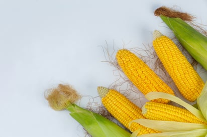 CONSEJOS. Dejar las hojas durante la cocción ayudará a hacer más suaves los elotes. (ARCHIVO)
