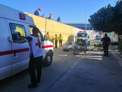 De aproximadamente dos metros de altura cayó un hombre que se encontraba en una escalera mientras podaba un árbol, pues presuntamente sufrió un infarto y murió. (EL SIGLO DE TORREÓN)