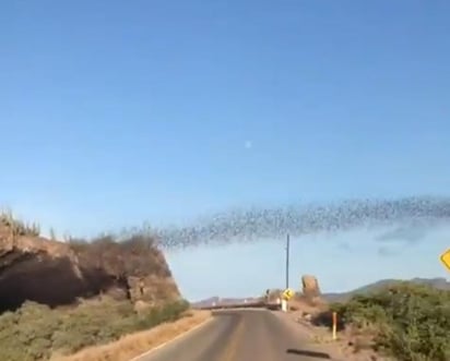 El video se compartió en diferentes plataformas digitales. (CAPTURA) 