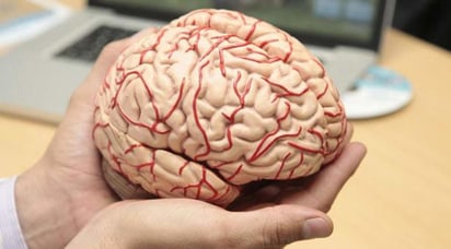 El Centro Nacional de Investigaciones Oncológicas (CNIO) ha creado una nueva plataforma colaborativa internacional para agilizar la investigación de la metástasis cerebral de cara al desarrollo de terapias y para fomentar la participación de nuevos equipos científicos. (ESPECIAL) 