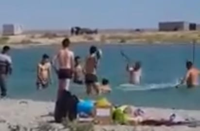 Se desconoce si el animal sobrevivió a los golpes, ya que tras tomarse las fotos con él, fue devuelto al mar en estado inconsciente (CAPTURA) 