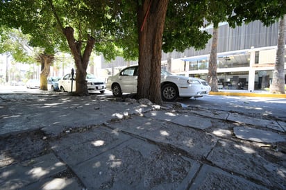 Avenida Morelos, sin 'piso parejo' rumbo al poniente.
Banquetas de la avenida Morelos lucen daños y desniveles, principalmente de la Valdés Carrillo hasta la calle Múzquiz, en el tramo poniente.
