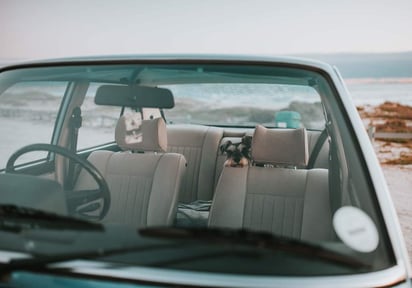 Uno de los principales factores de riesgo para que un perro sufra un golpe de calor es estar solo en un coche. (ESPECIAL)