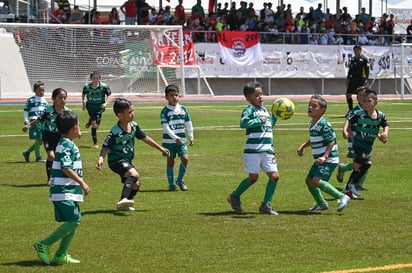 Las emociones del torneo tendrán que esperar al menos un año. (ARCHIVO)