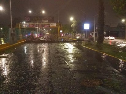 El director de Protección Civil en Coahuila, Alonso Gómez Vizcarra, explicó que la lluvia que se registró esta noche, fue de aproximadamente 20 milímetros y el fenómeno se originó por las bandas nubosas,  de la tormenta tropical Hanna y la concentración de calor. (EL SIGLO DE TORREÓN)