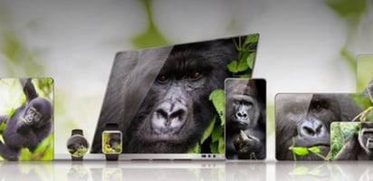 Con el precio de los celulares aumentando nadie quiere que un accidente termine en un rayón o una pantalla rota y precisamente por ello se están desarrollando opciones mucho más resistentes como Victus la nueva versión de Gorilla Glass que, aseguran, puede resistir caídas de hasta dos metros. (ESPECIAL) 
