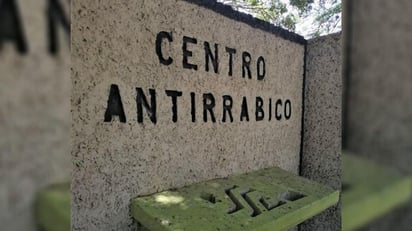 Dentro de la campaña de esterilización canina y felina, con el apoyo de la brigada que estará en las instalaciones del Centro Antirrábico. (EL SIGLO DE TORREÓN)