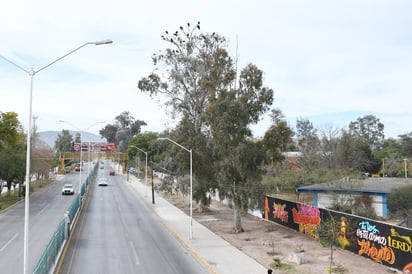 Ayer se dio la reapertura del Parque Las Auras, lugar utilizado para actividades físicas.