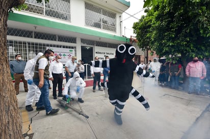 Se refuerzan las acciones de control larvario, nebulización, fumigación, supervisión de ovitrampas, encalado y entrega de abate.