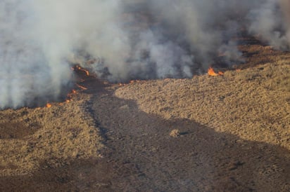 El avance de los incendios en las islas del delta del río Paraná, que sumieron bajo una intensa nube de humo a la vecina ciudad argentina de Rosario, preocupa a las autoridades y los habitantes de la región, que reclaman una investigación exhaustiva sobre el origen de las llamas. (CORTESÍA)