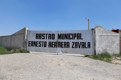 Una fuerte inversión está haciendo el Municipio en el rastro para cumplir con las especificaciones sanitarias.