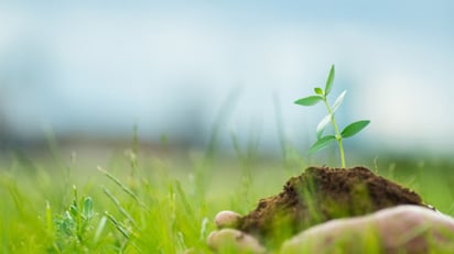 La biodiversidad amazónica juega un rol de gran importancia en la provisión de servicios ambientales locales y regionales, señaló el BID. (ARCHIVO) 