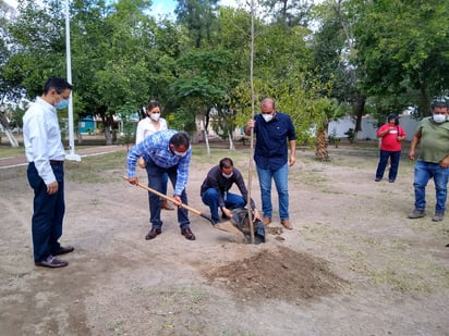 Se estarán plantando árboles típicos de la región como olmos, mezquites, fresnos, olivos, lilas, álamos, encinos, entre otros.