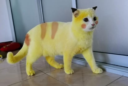 El 'nuevo color' del felino se ha convertido en una sensación en redes sociales (ESPECIAL) 