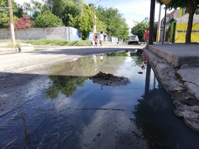 El temor de los colonos es que con la temporada de lluvias el problema se agrave.
(EL SIGLO DE TORREÓN)